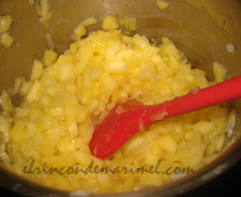 chutney de mango