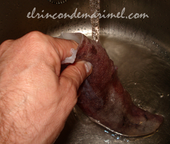limpiar calamares