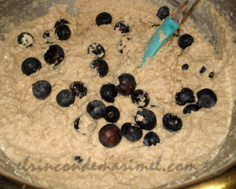 bizcocho de coco con arándanos