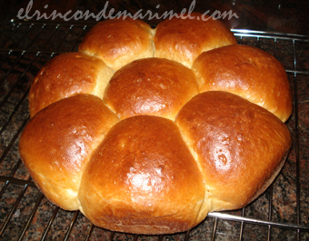 brioche