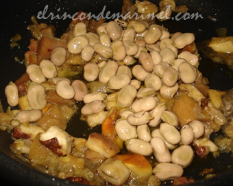 habitas con hongos
