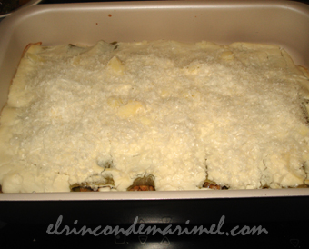 canelones de soja texturizada con bechamel de coliflor