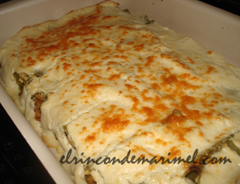 canelones de soja texturizada con bechamel de coliflor