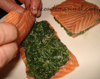 libritos de salmón