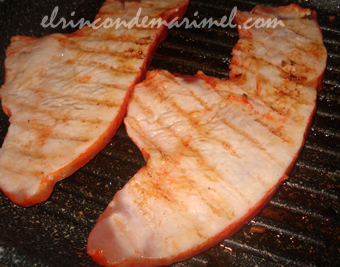 filetes de pavo