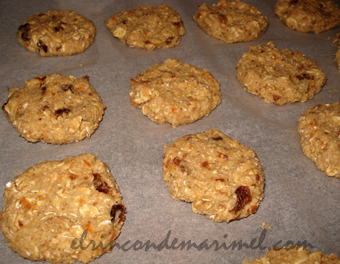 galletas de avena, pasas y manzana