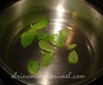 infusion para mojito