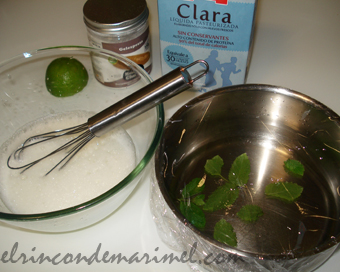 espuma de mojito