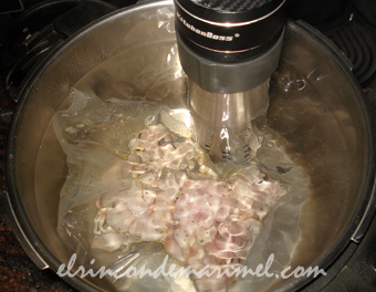 cocina a baja temperatura