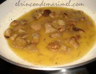 pilpil de hongos