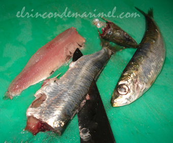limpiar sardinas
