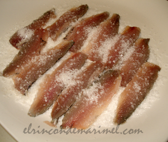 sardinas curadas en sal
