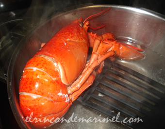 cocer bogavante