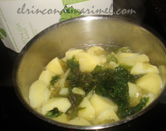 cremoso de alga
