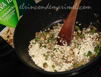 risotto