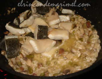 risotto de robaballo