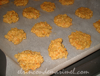 galetas de avena coco y zanahoria