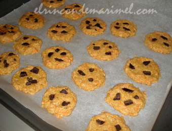 galetas de avena coco y zanahoria