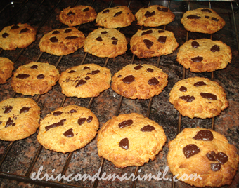 galetas de avena coco y zanahoria