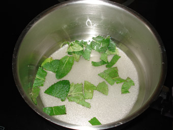 Infusionamos la menta en el jarabe
