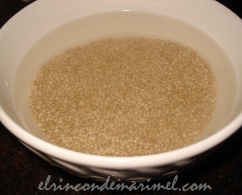 quinoa en remajo